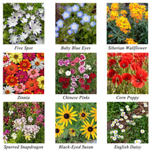 Load image into Gallery viewer, SEED PAPER FAVORS | SHAMROCK