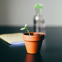 Load image into Gallery viewer, SEED PAPER FAVORS | LET LOVE GROW - HEART