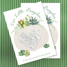 Load image into Gallery viewer, PARTY SEEDS™ | LITTLE PUMPKIN and SUCCULENT - Bushel &amp; Peck Paper Seed Favors  18.00
