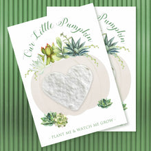 Load image into Gallery viewer, PARTY SEEDS™ | LITTLE PUMPKIN and SUCCULENT - Bushel & Peck Paper Seed Favors 18.00