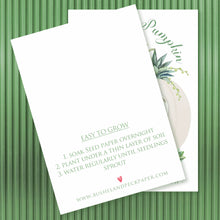 Load image into Gallery viewer, PARTY SEEDS™ | LITTLE PUMPKIN and SUCCULENT - Bushel & Peck Paper Seed Favors 18.00