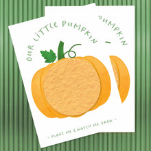 Load image into Gallery viewer, PARTY SEEDS™ | LITTLE PUMPKIN Baby Shower Favors by Bushel & Peck Paper