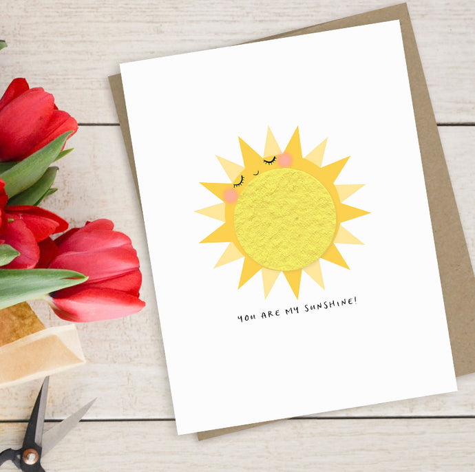 Single Growable Greeting Card | You are my Sunshine Baby Shower Card by Bushel & Peck Paper