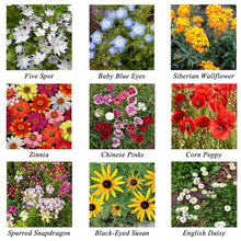 Load image into Gallery viewer, SEED BOMBS - CARROT Bushel &amp; Peck Paper
