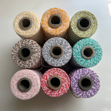 Load image into Gallery viewer, BAKER'S TWINE - REMNANTS Bushel &amp; Peck Paper
