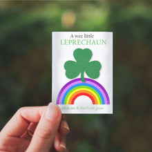 Load image into Gallery viewer, SEED PAPER FAVORS | SHAMROCK

