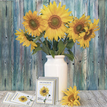 Load image into Gallery viewer, SEED FAVORS | SUNFLOWER Bushel &amp; Peck Paper
