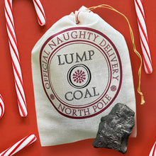 Load image into Gallery viewer, HOLIDAY GIFT BAG | LUMP O COAL Bushel &amp; Peck Paper
