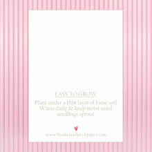 Load image into Gallery viewer, SEED PAPER FAVORS | Lil' DUMPLING Bushel &amp; Peck Paper
