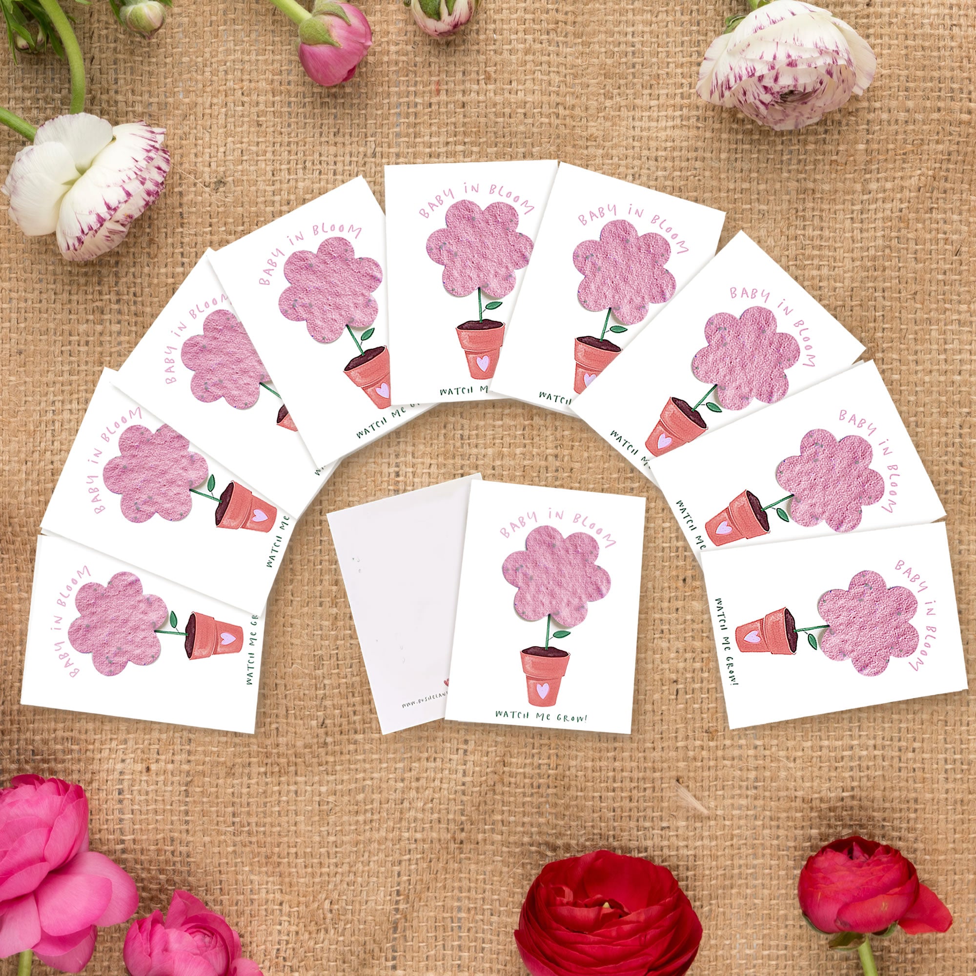 SEED FAVORS  READY TO POP! freeshipping - Bushel & Peck Paper