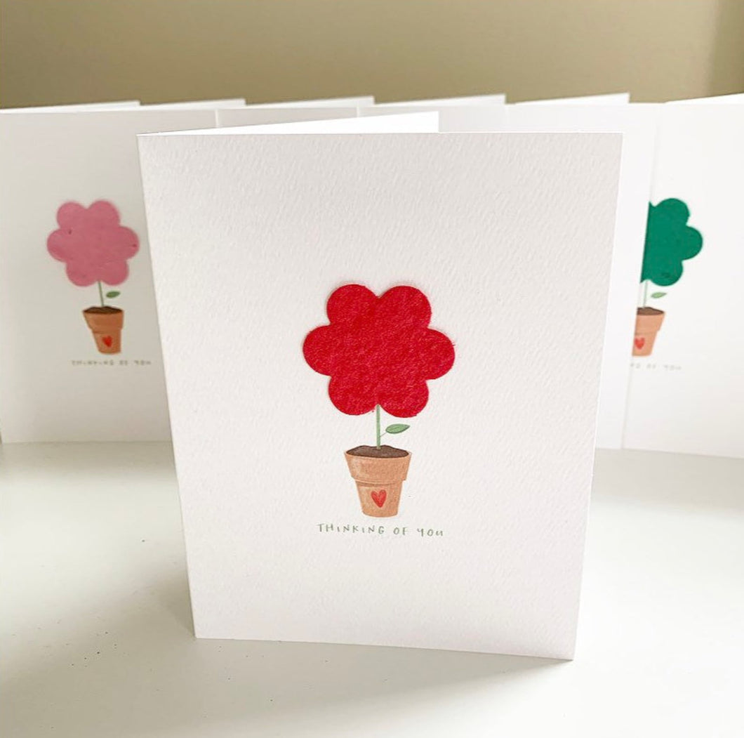 FOLDED NOTES | ASSORTED SEED PAPER CARDS